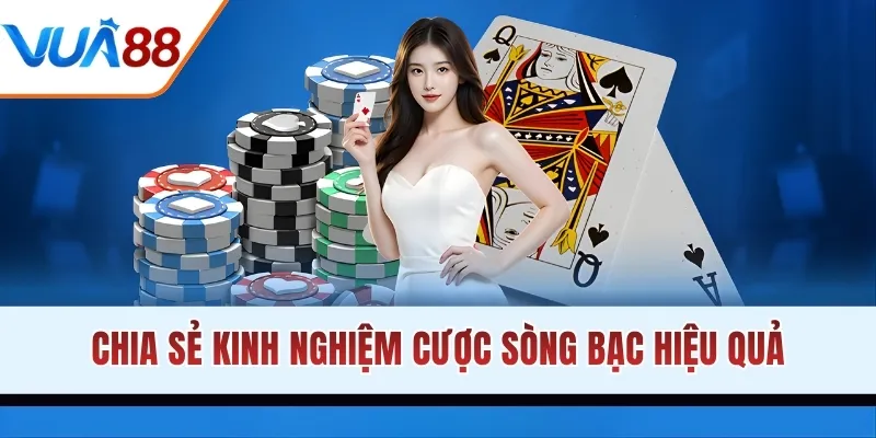 Chia sẻ kinh nghiệm cược sòng bạc hiệu quả